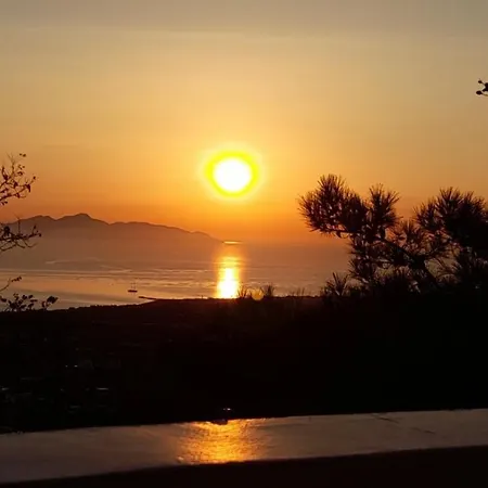 アパート アロニア スタジオ