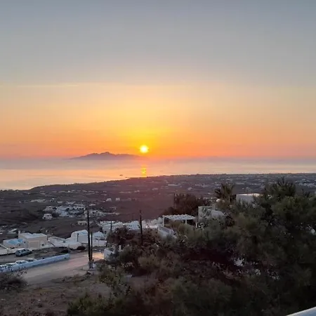 アロニア スタジオ * フィロステファニ