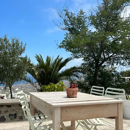 アロニア スタジオ *