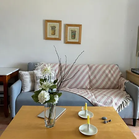 アロニア スタジオ * フィロステファニ