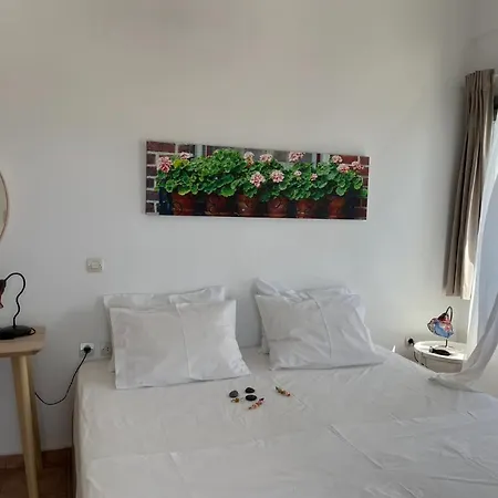 アロニア スタジオ フィロステファニ