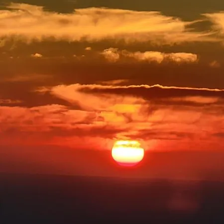 アロニア スタジオ